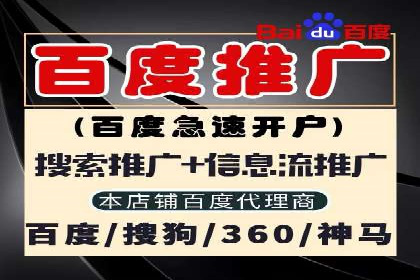 企业SEM服务公司案例分享：SEO实战技巧